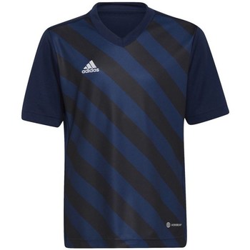 Adidas T-shirt Korte Mouw  Entrada 22 Graphic Jersey
