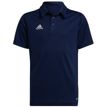 Adidas T-shirt Korte Mouw  Entrada 22