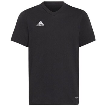 Adidas T-shirt Korte Mouw  Entrada 22 JR