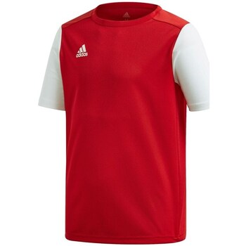 Adidas T-shirt Korte Mouw  JR Estro 19
