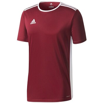 Adidas T-shirt Korte Mouw  JR Entrada 18
