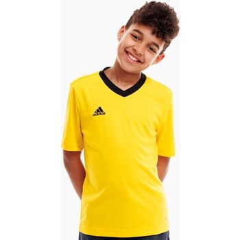 Adidas T-shirt Korte Mouw  Entrada 22