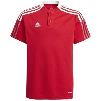 Adidas T-shirt Korte Mouw  Tiro 21 Polo
