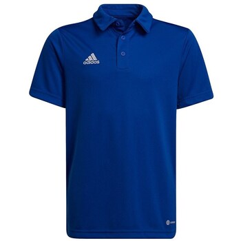 Adidas T-shirt Korte Mouw  Entrada 22