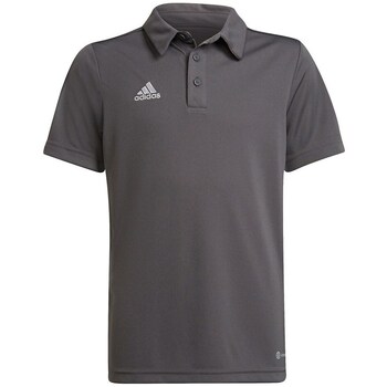 Adidas T-shirt Korte Mouw  Entrada 22