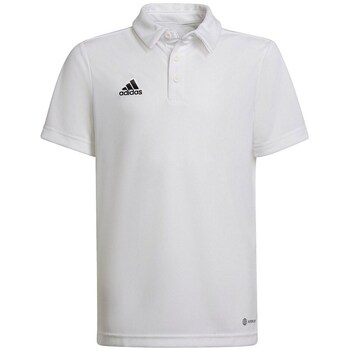 Adidas T-shirt Korte Mouw  Entrada 22