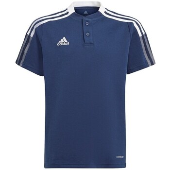 Adidas T-shirt Korte Mouw  Tiro 21 Polo