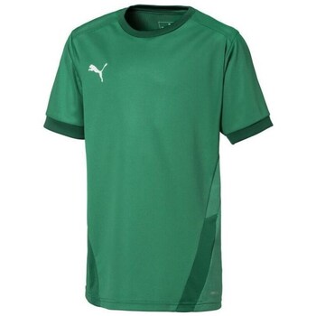 Puma T-shirt Korte Mouw  Teamgoal 23 Jersey