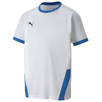 Puma T-shirt Korte Mouw  Teamgoal 23 Jersey