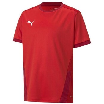 Puma T-shirt Korte Mouw  Teamgoal 23 Jersey