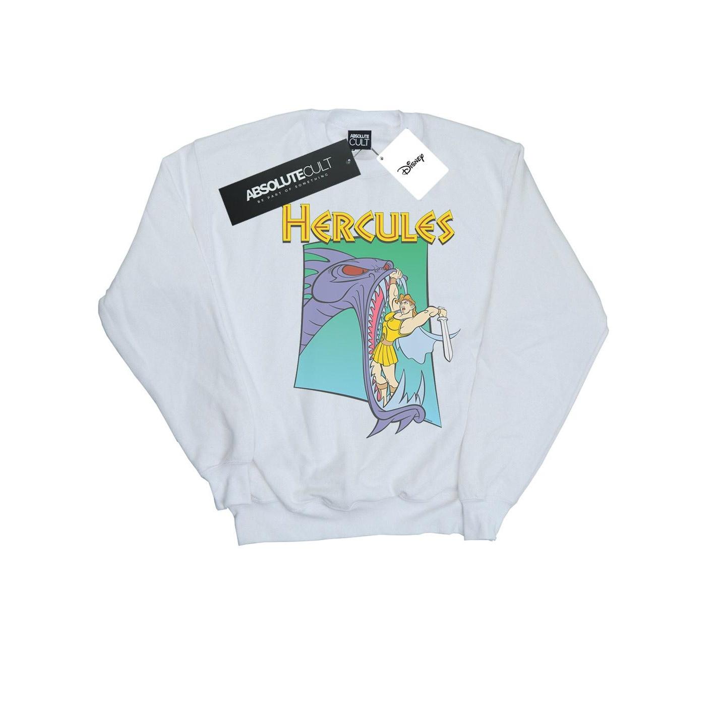 Disney meisjes Hercules Hydra Fight Sweatshirt 3-4 Years