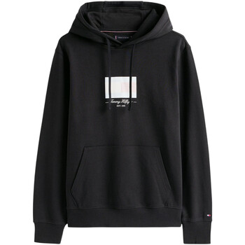 Tommy Hilfiger Sweater  ITHACA FLAG HOODIE MW0MW39377