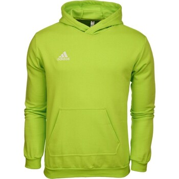 Adidas Sweater  Entrada 22