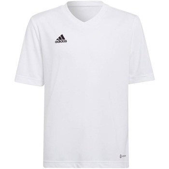Adidas T-shirt Korte Mouw  Entrada 22 Jsy