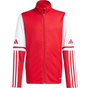Adidas Sweater  JD4797