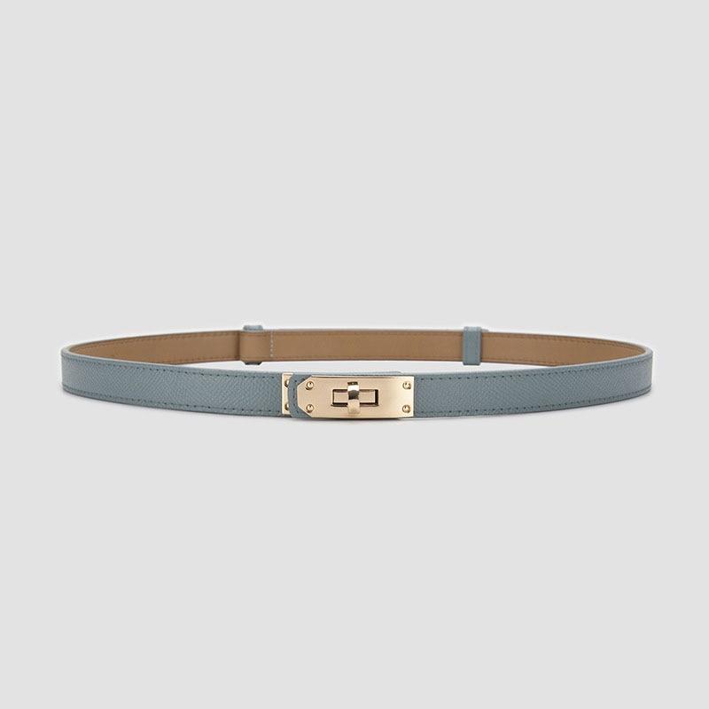 COOLERFIRE FASHION Riemen voor vrouwen Mode Casual Designer Echt leer Zacht jurk Rok Riemen Dames Tailleband Dunne Skinny Effen Band LB2285 100cm blauw/goud