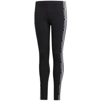 Adidas Legging  Originals