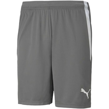 Puma Korte Broek  Teamliga