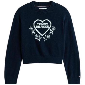 Tommy Hilfiger Sweater  KG0KG08836C1G