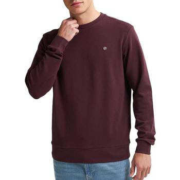 Petrol Industries Sweater  -