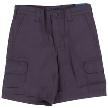 Dickies Korte Broek  DK0A862Z