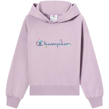 Champion Sweater  Hooded Sweatshirt