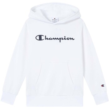 Champion Sweater  Hooded Sweatshirt