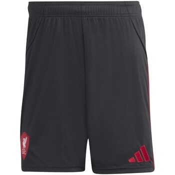 Adidas Korte Broek  Lfc A Sho
