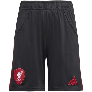 Adidas Korte Broek  Lfc A Sho Y