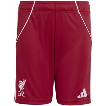 Adidas Korte Broek  Lfc H Sho Y
