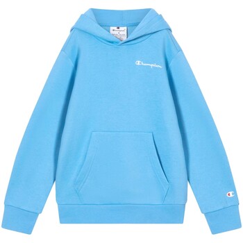 Champion Sweater  Hooded Sweatshirt