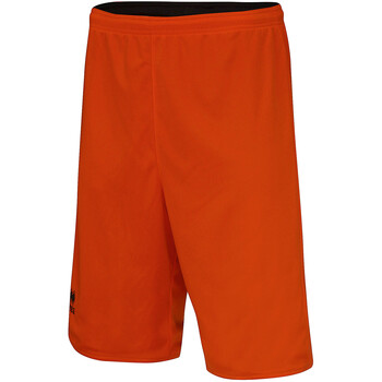 Errea Korte Broek  Chicago Panta Double Jr