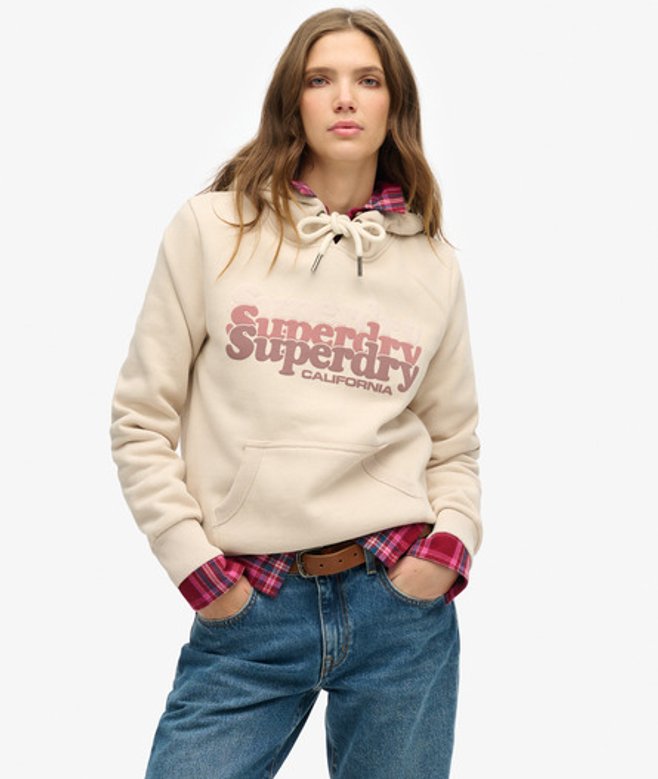 Superdry Stacked Hoodie Grijs