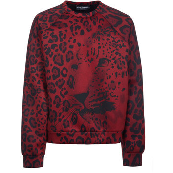 D&G Trui D&G -