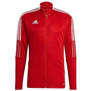 Adidas Sweater  Tiro 21