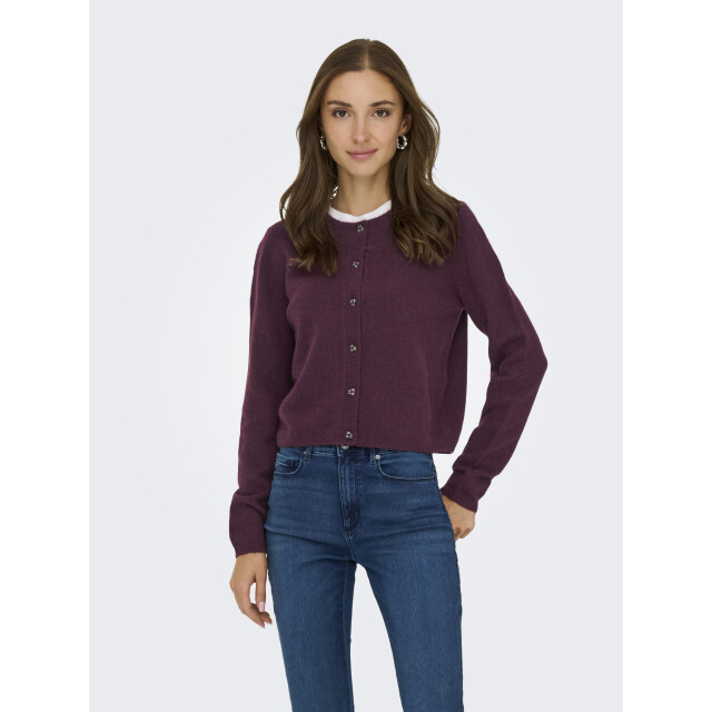 JDY Vest CHLOE LIFE L/S CARDIGAN KNT NOOS