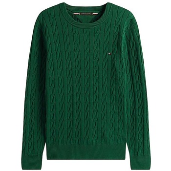 Tommy Hilfiger Trui  MW0MW33132