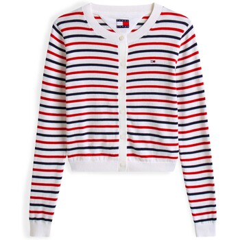 Tommy Jeans Vest  Tjw Essential Crew N