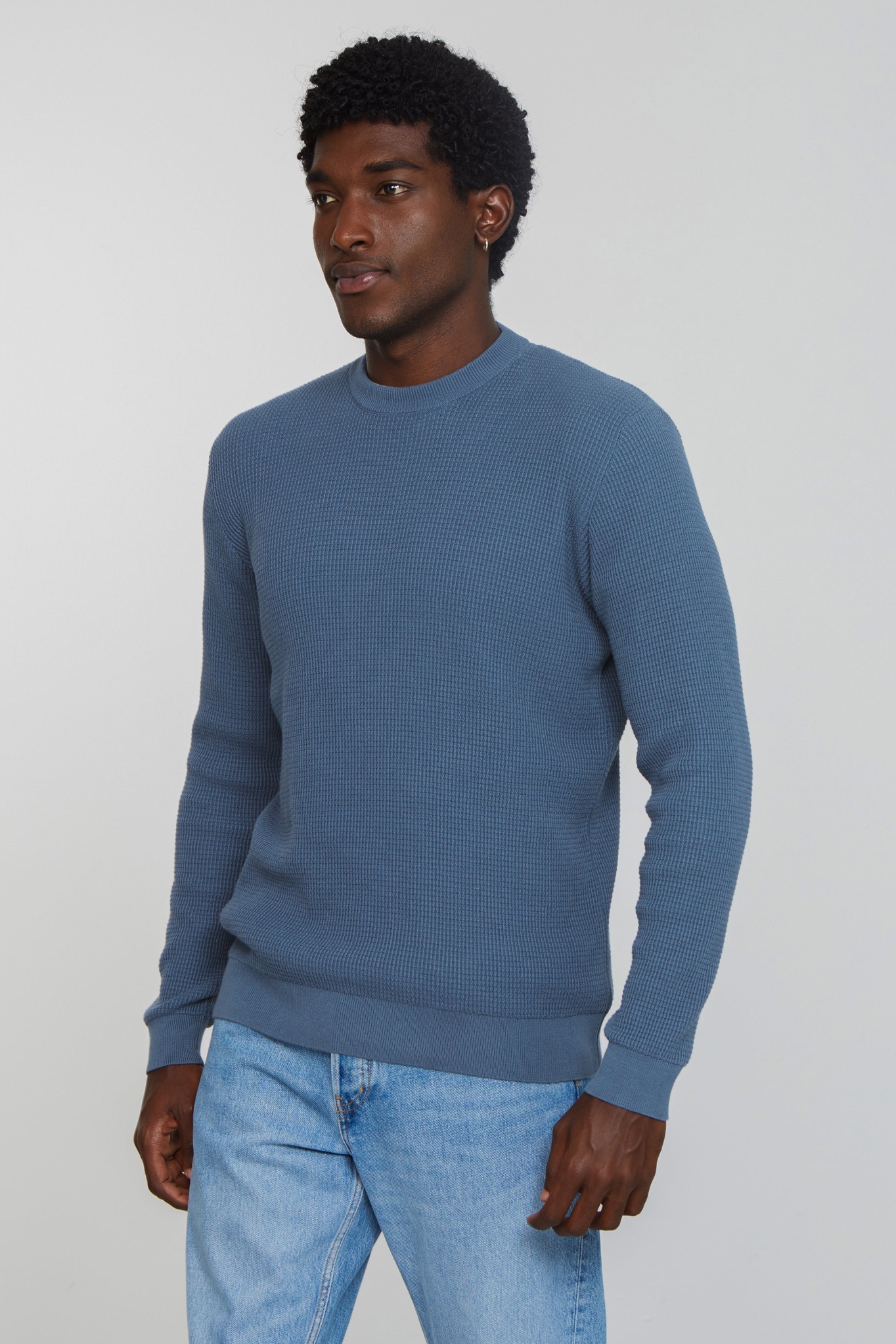 Recolution Herren vegan Pullover Lupin Taubenblau