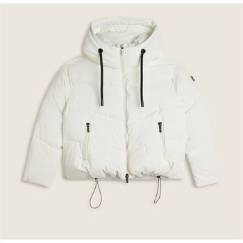 Freddy Donsjas  F25WPJJ14