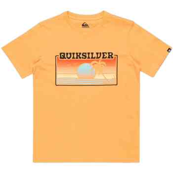 Quiksilver T-shirt Korte Mouw  EQBZT04845-NGR0
