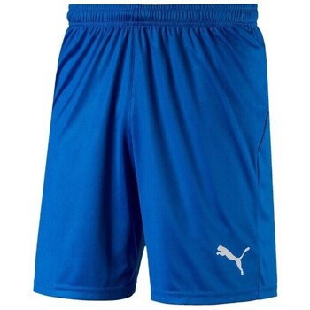 Puma Korte Broek  Liga Shorts Core