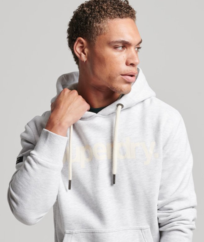 Superdry Core Logo Graphic Hoodie van Biologisch Katoen Lichtgrijs
