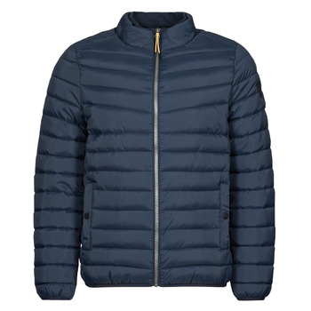 Kaporal Donsjas  ALLO