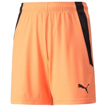 Puma Korte Broek  70493121