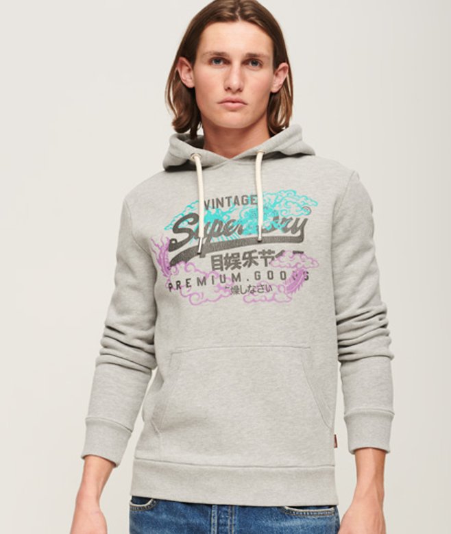 Superdry Vintage Logo Narrative Hoodie Grijs