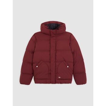 Dickies Donsjas  EAGLEVILLE HDD - DK0A87O-L161 ANDORRA