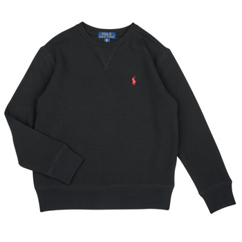 Polo Ralph Lauren Sweater  LONG SLEEVE CREWNECK SWEATSHIRT