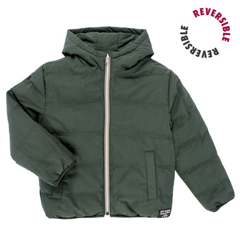 Ikks Donsjas  X241023