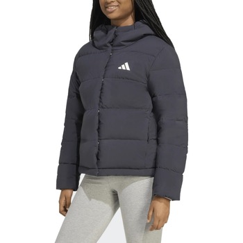 Adidas Blazer  W HELIONIC HD J